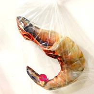 หมอนกุ้งสดลายเสือ